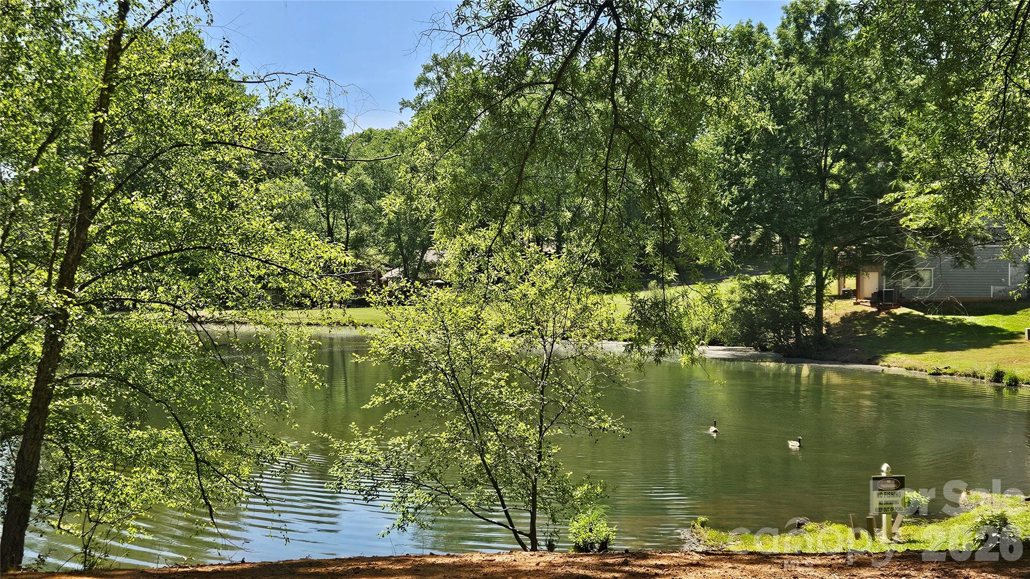 Raintree - Residential