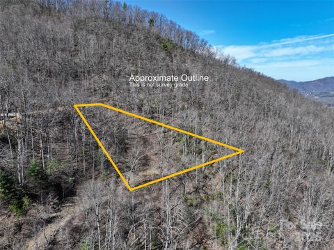 99999 Green Ridge Falls Road 17 Barnardsville NC 28709