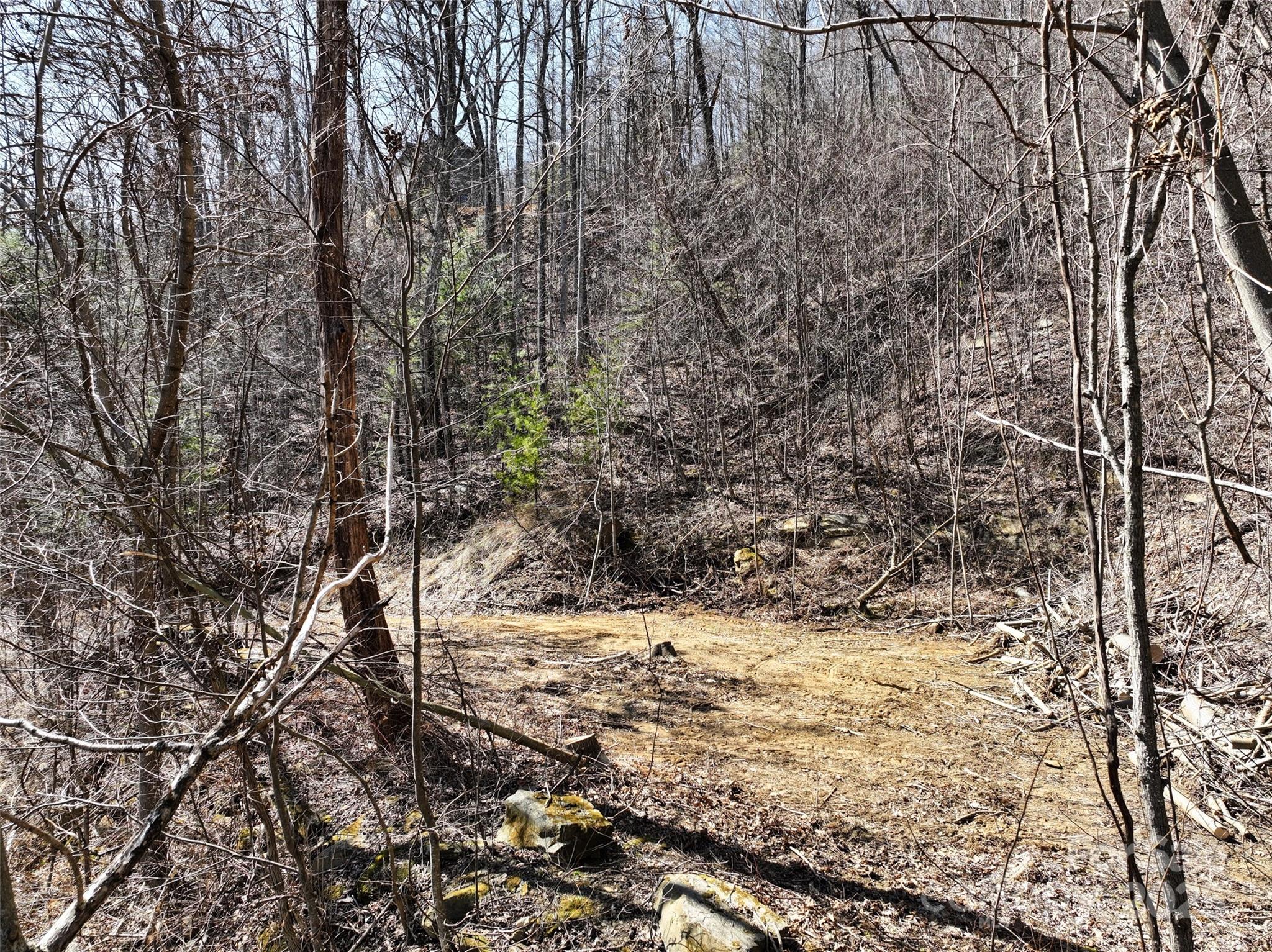 Greenridge Falls - Land