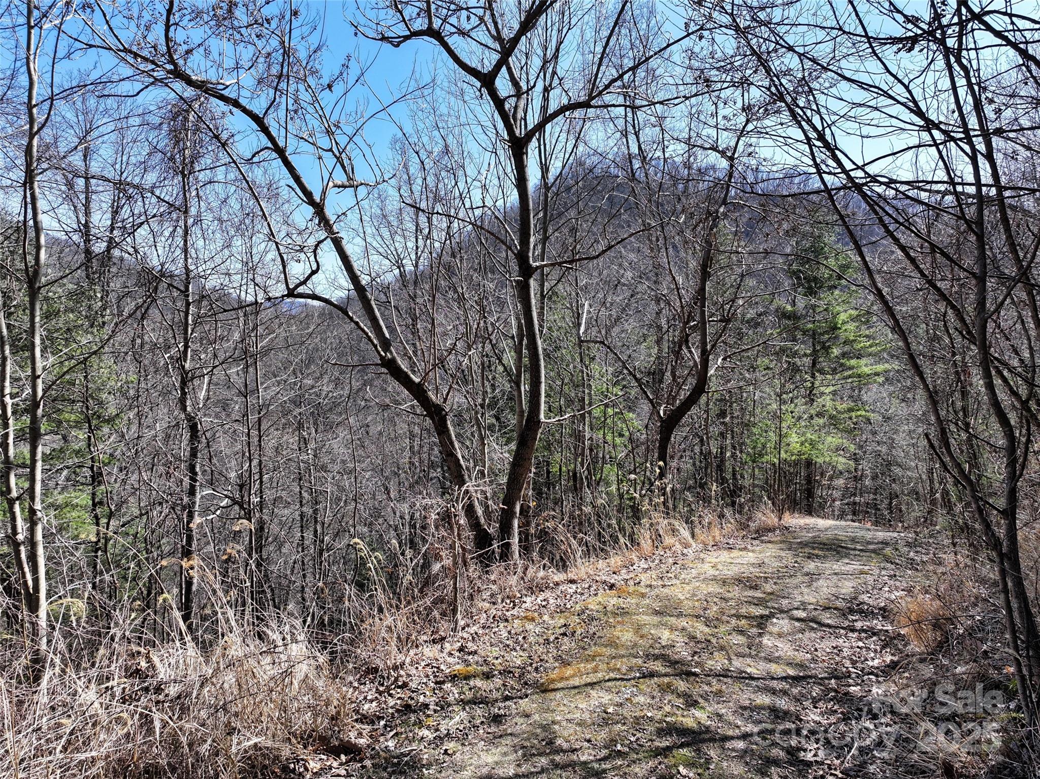 Greenridge Falls - Land