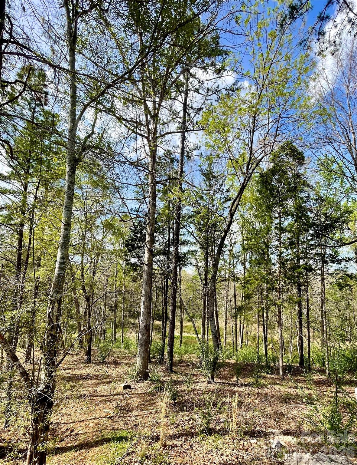 2409 Falling Leaf Court 69