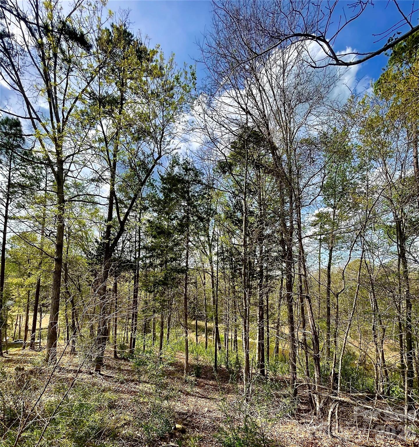 2409 Falling Leaf Court 69