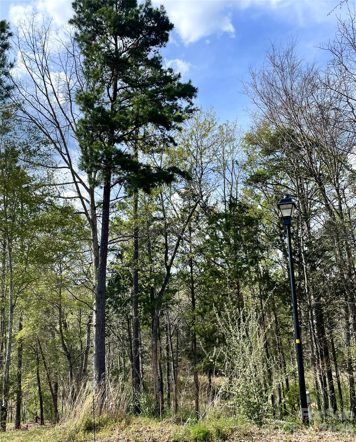 2409 Falling Leaf Court 69