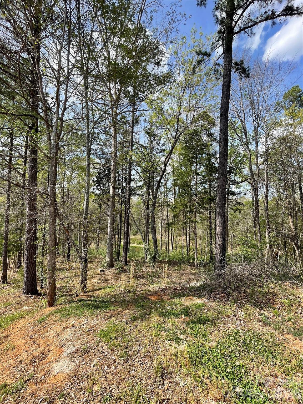 2409 Falling Leaf Court 69