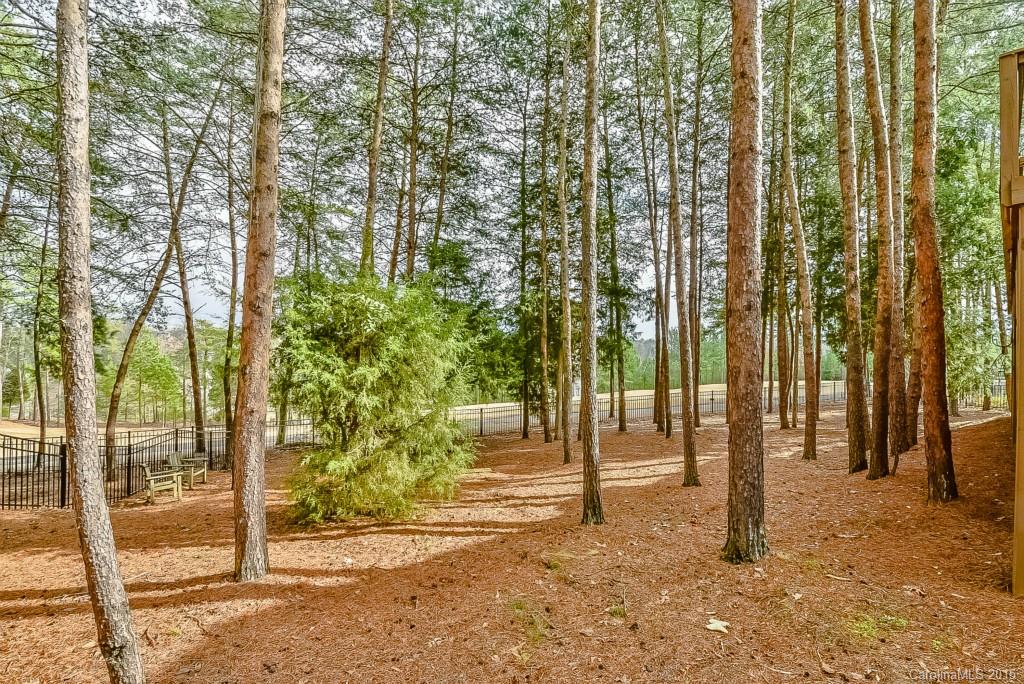 Lake Shore - Residential