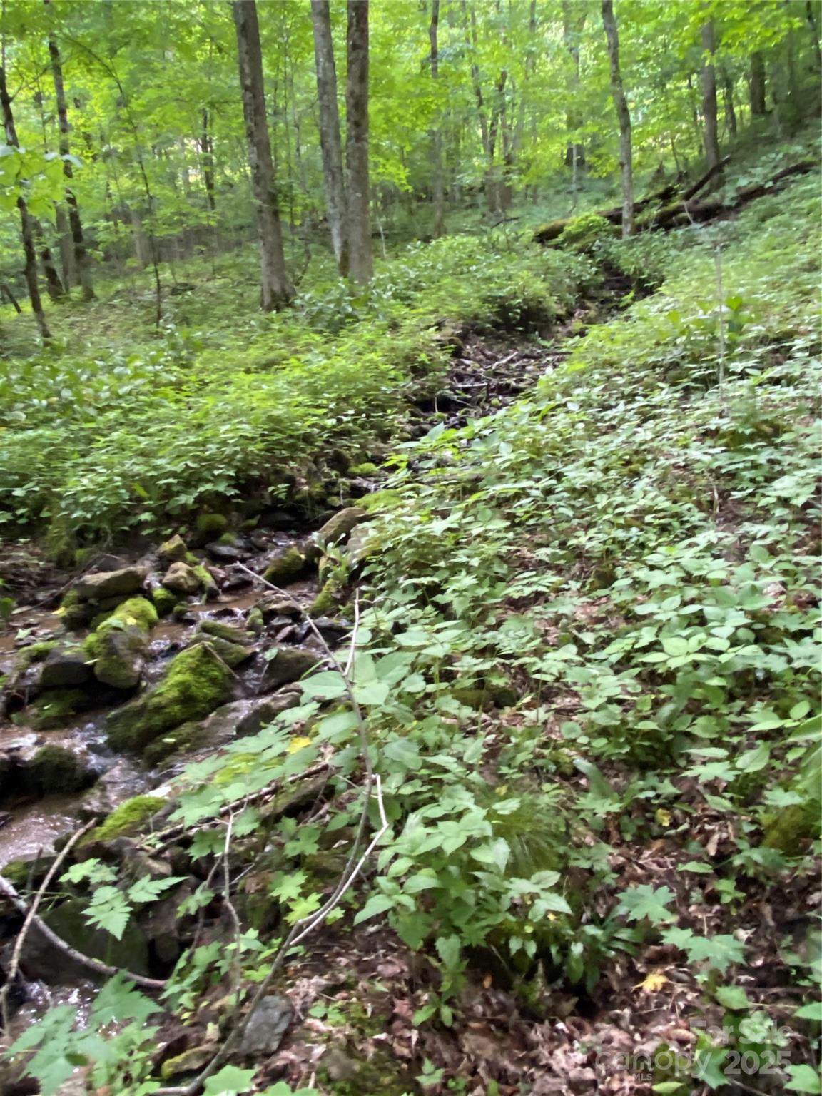 The Preserve at Wolf Laurel - Land