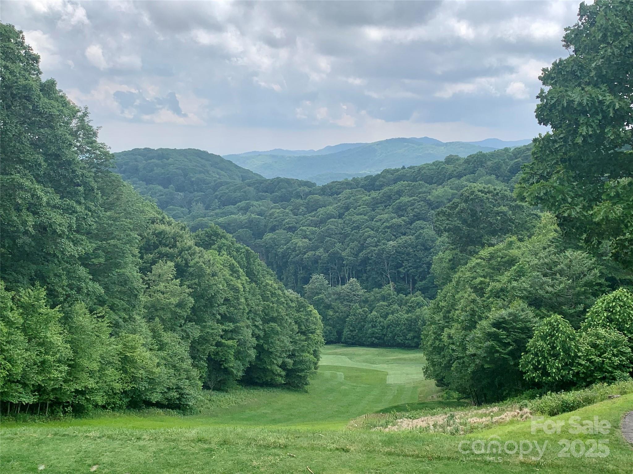 The Preserve at Wolf Laurel - Land
