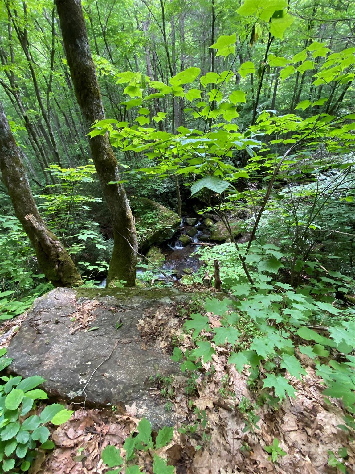 The Preserve at Wolf Laurel - Land