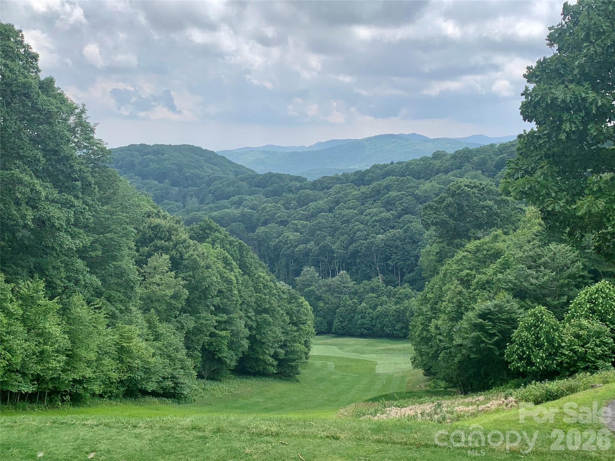 The Preserve at Wolf Laurel - Land