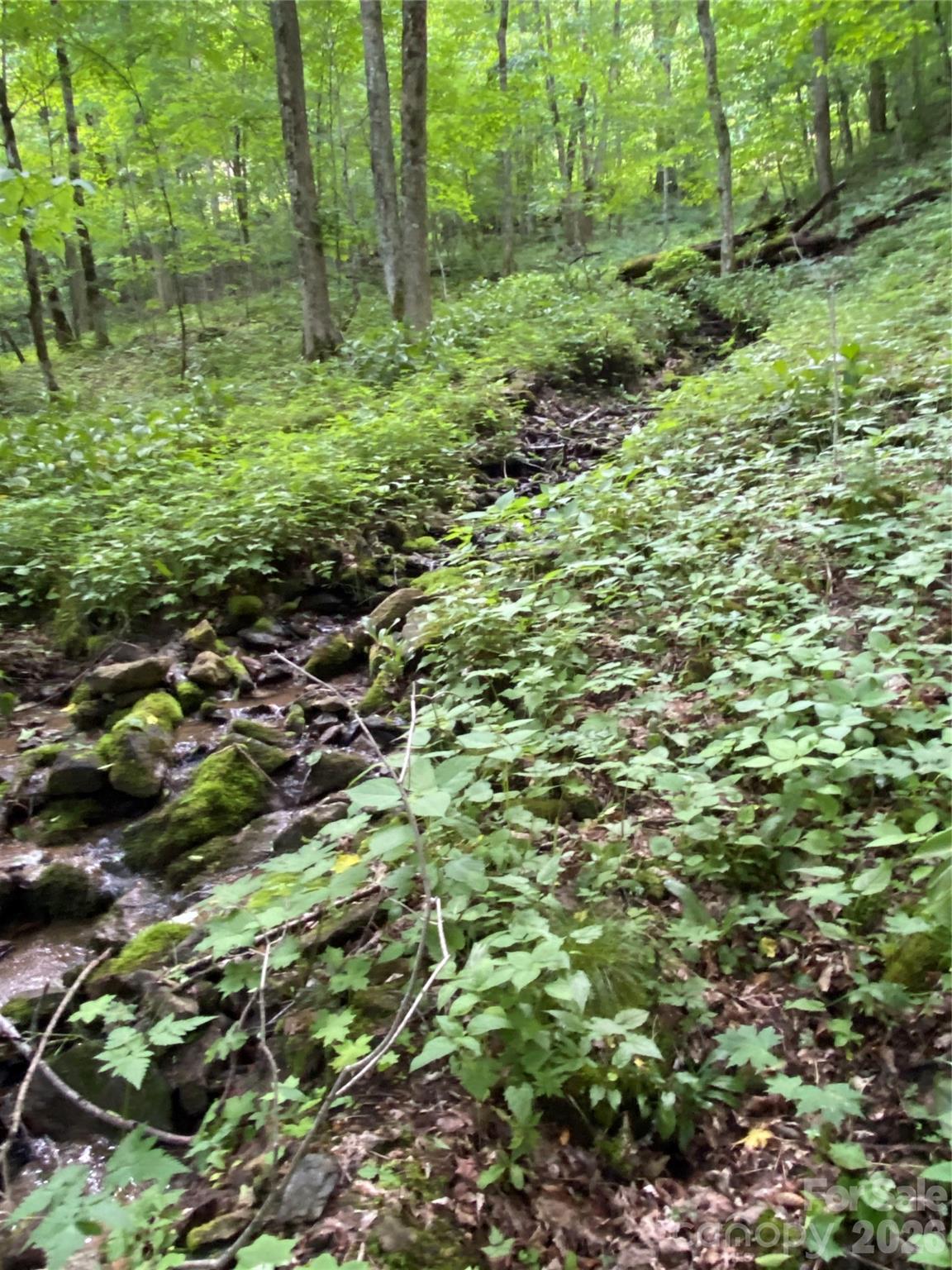 The Preserve at Wolf Laurel - Land