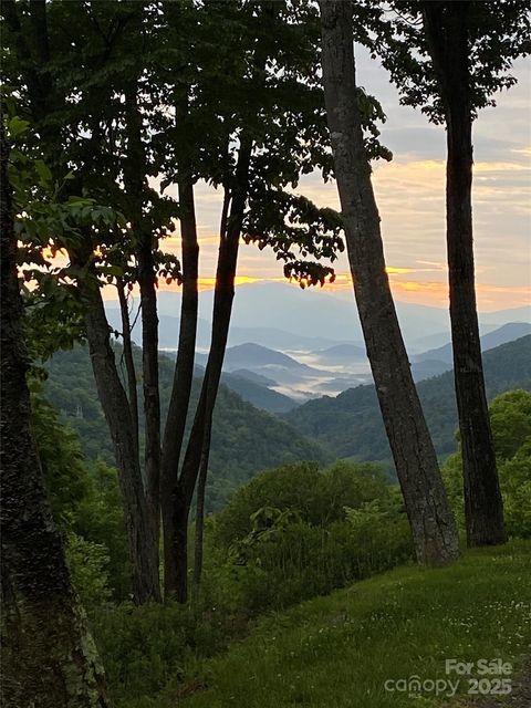 10 Mountain Gait Drive Mars Hill NC 28754