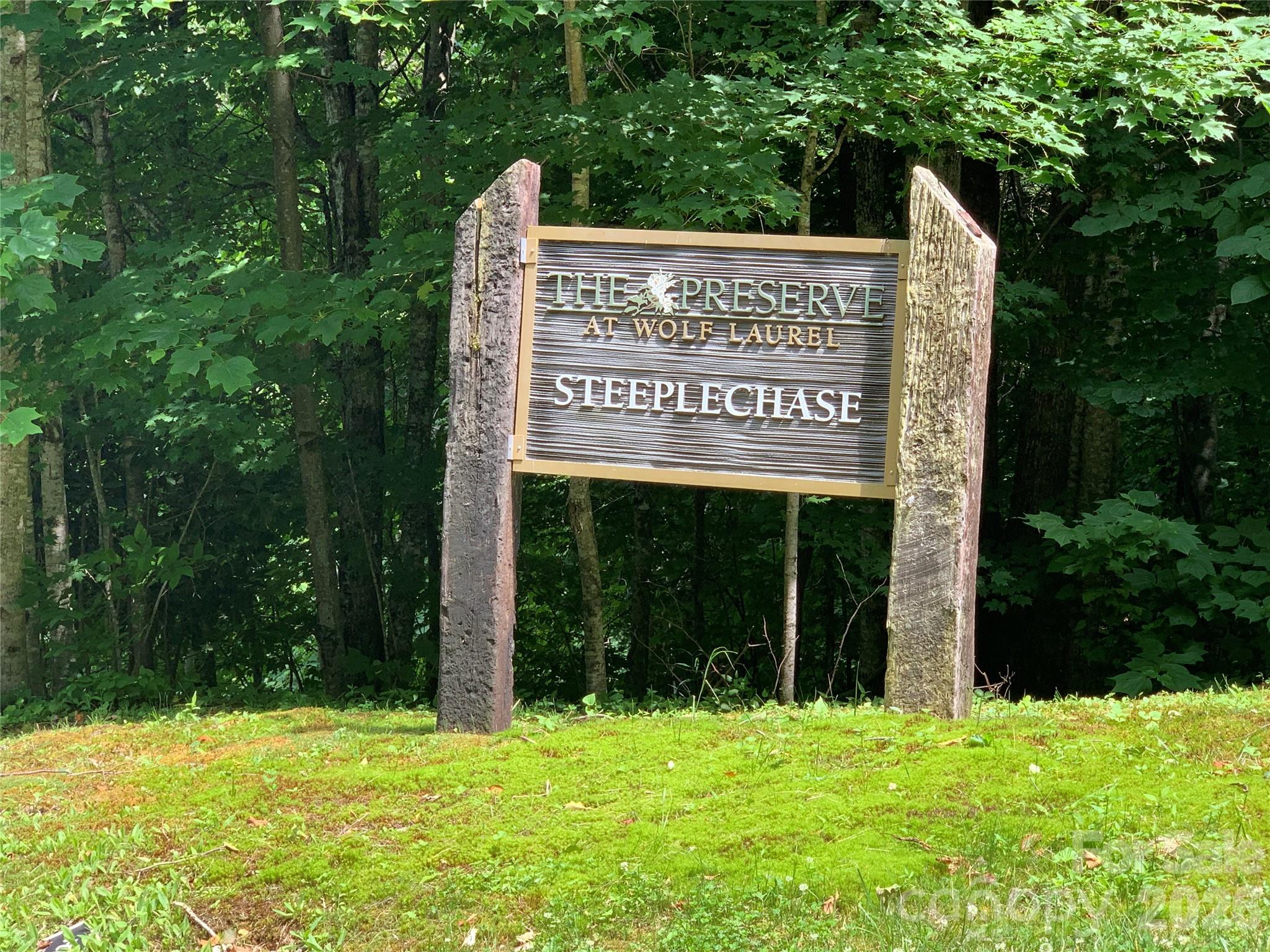 The Preserve at Wolf Laurel - Land