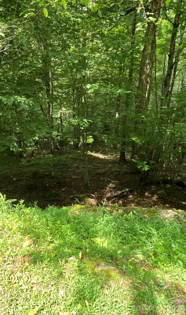 The Preserve at Wolf Laurel - Land