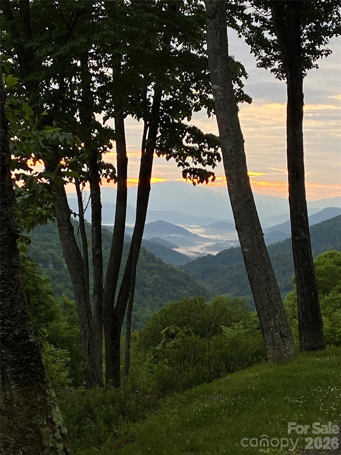 The Preserve at Wolf Laurel - Land