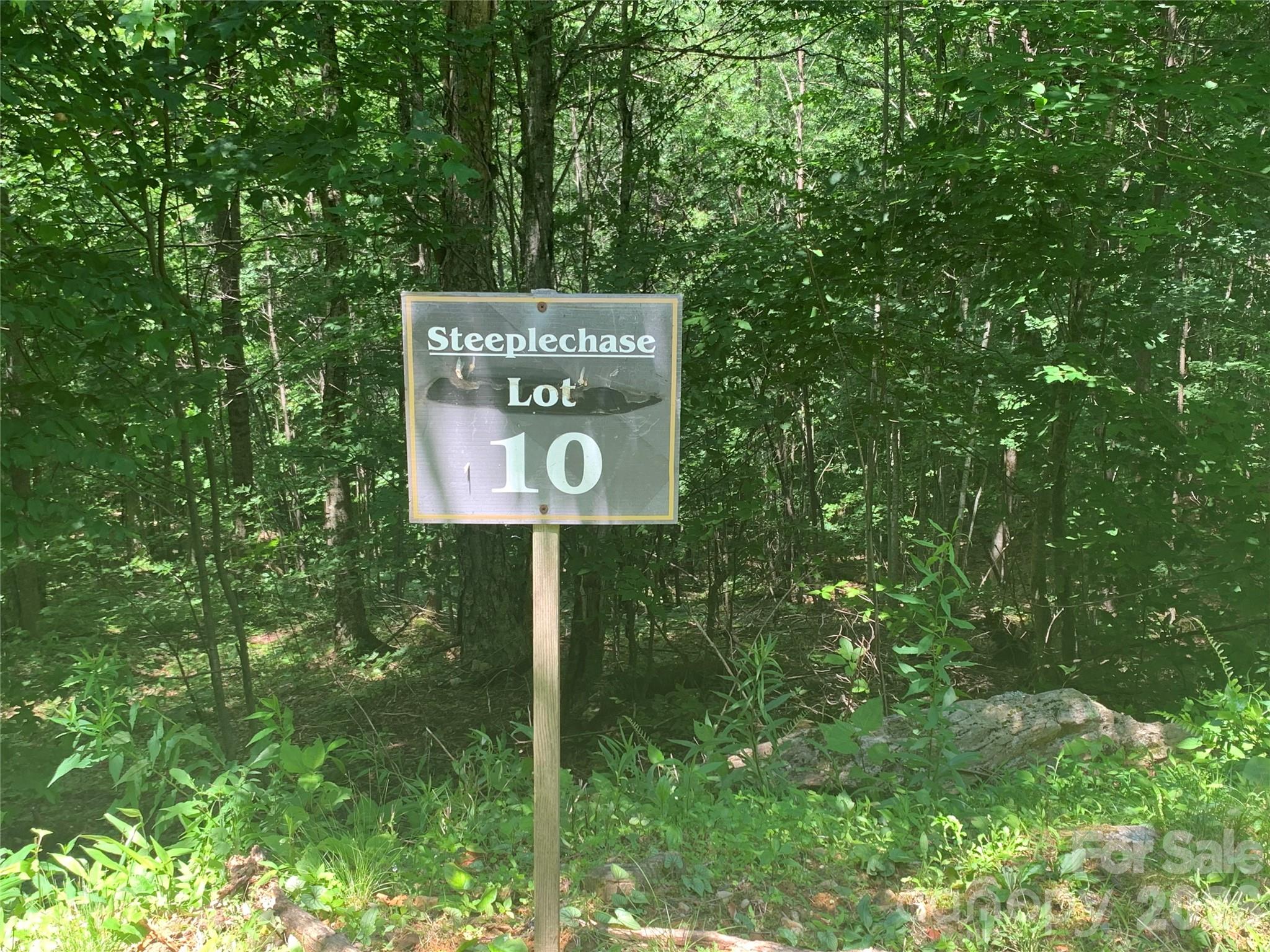 The Preserve at Wolf Laurel - Land