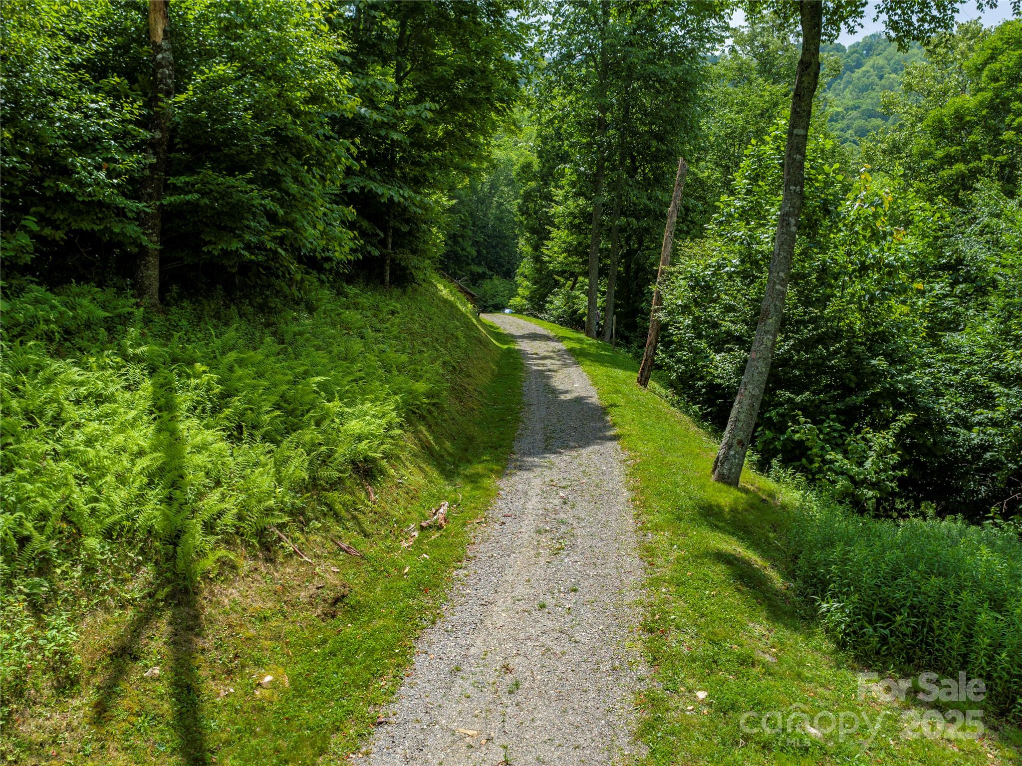 The Preserve at Wolf Laurel - Land
