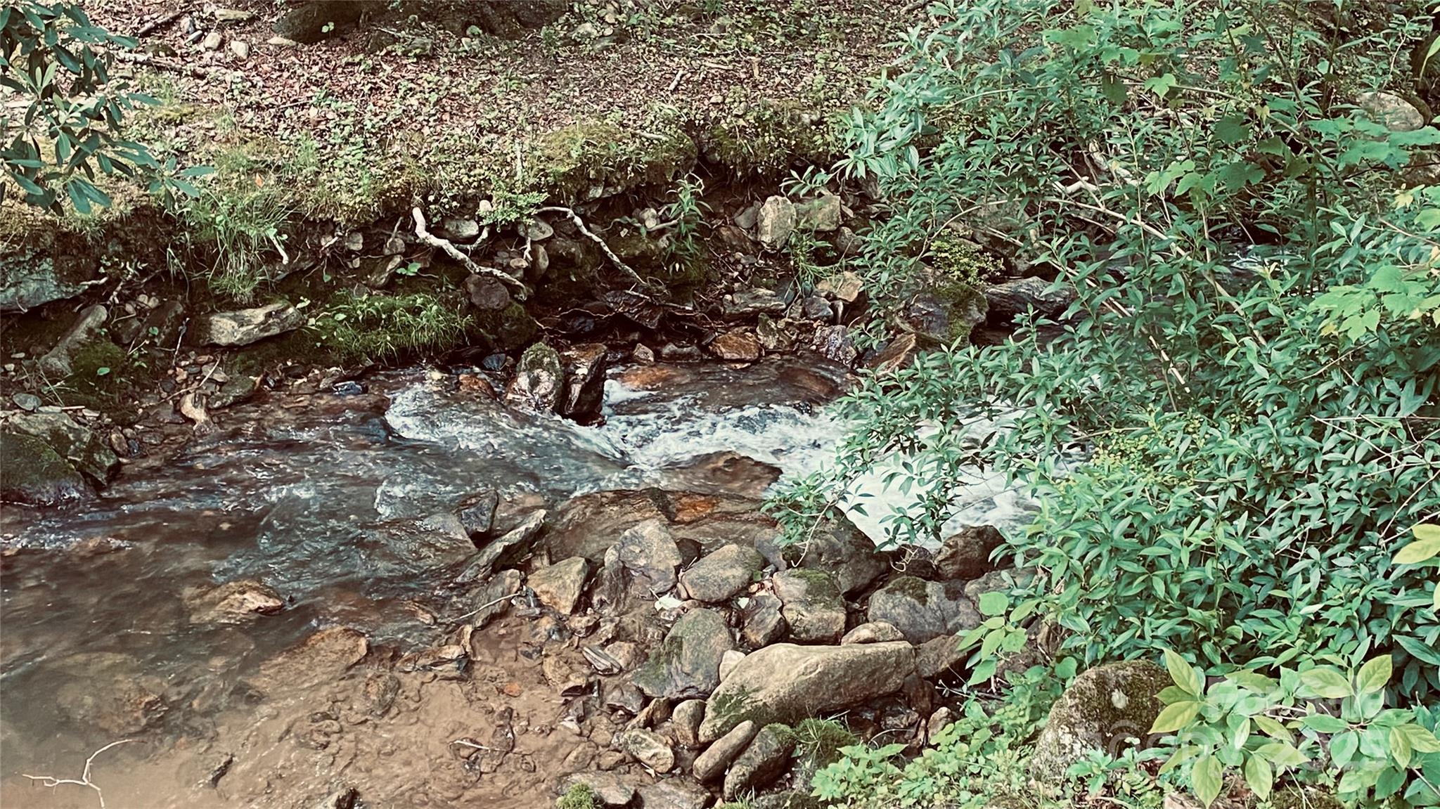 The Preserve at Wolf Laurel - Land