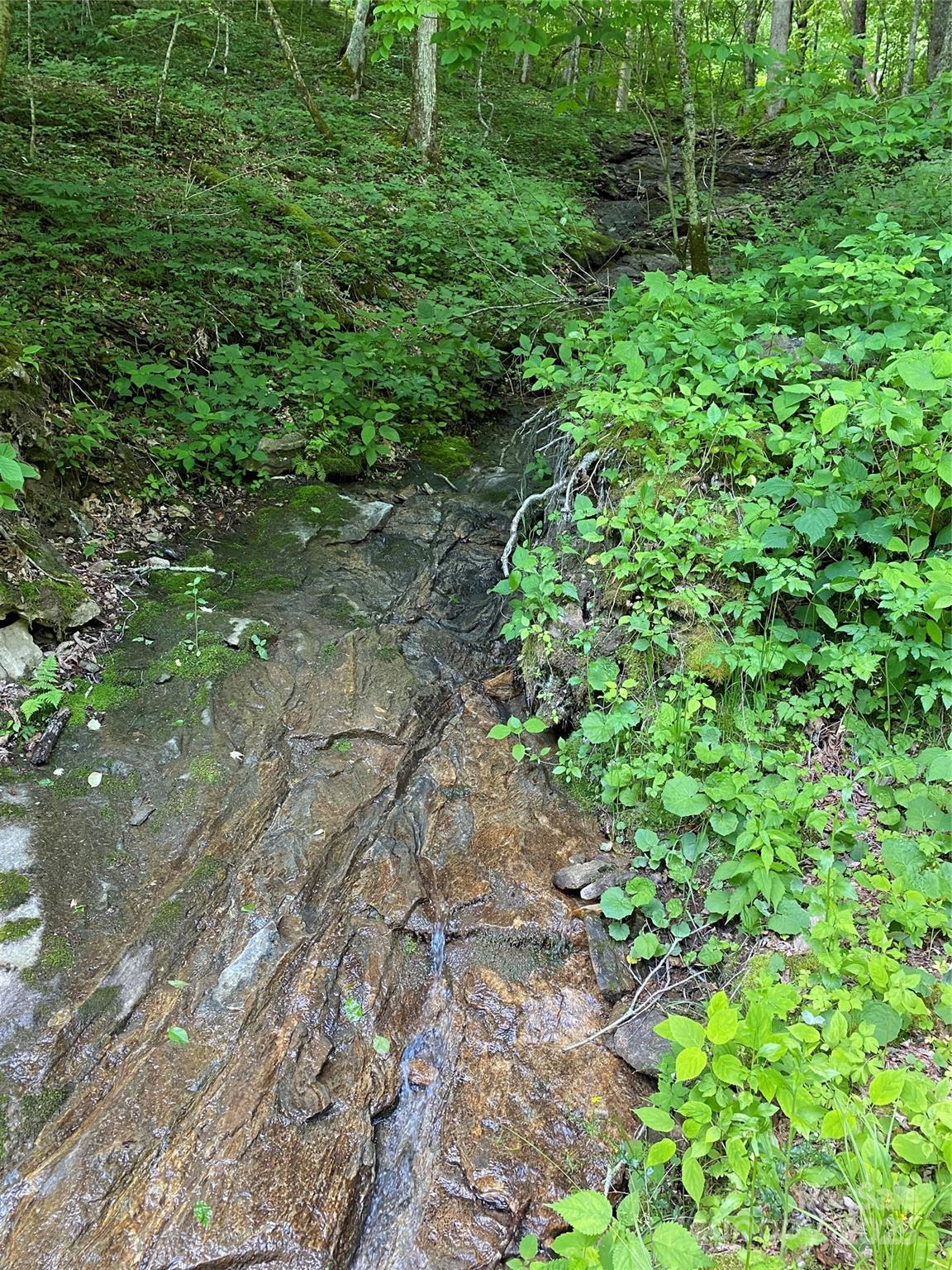 The Preserve at Wolf Laurel - Land