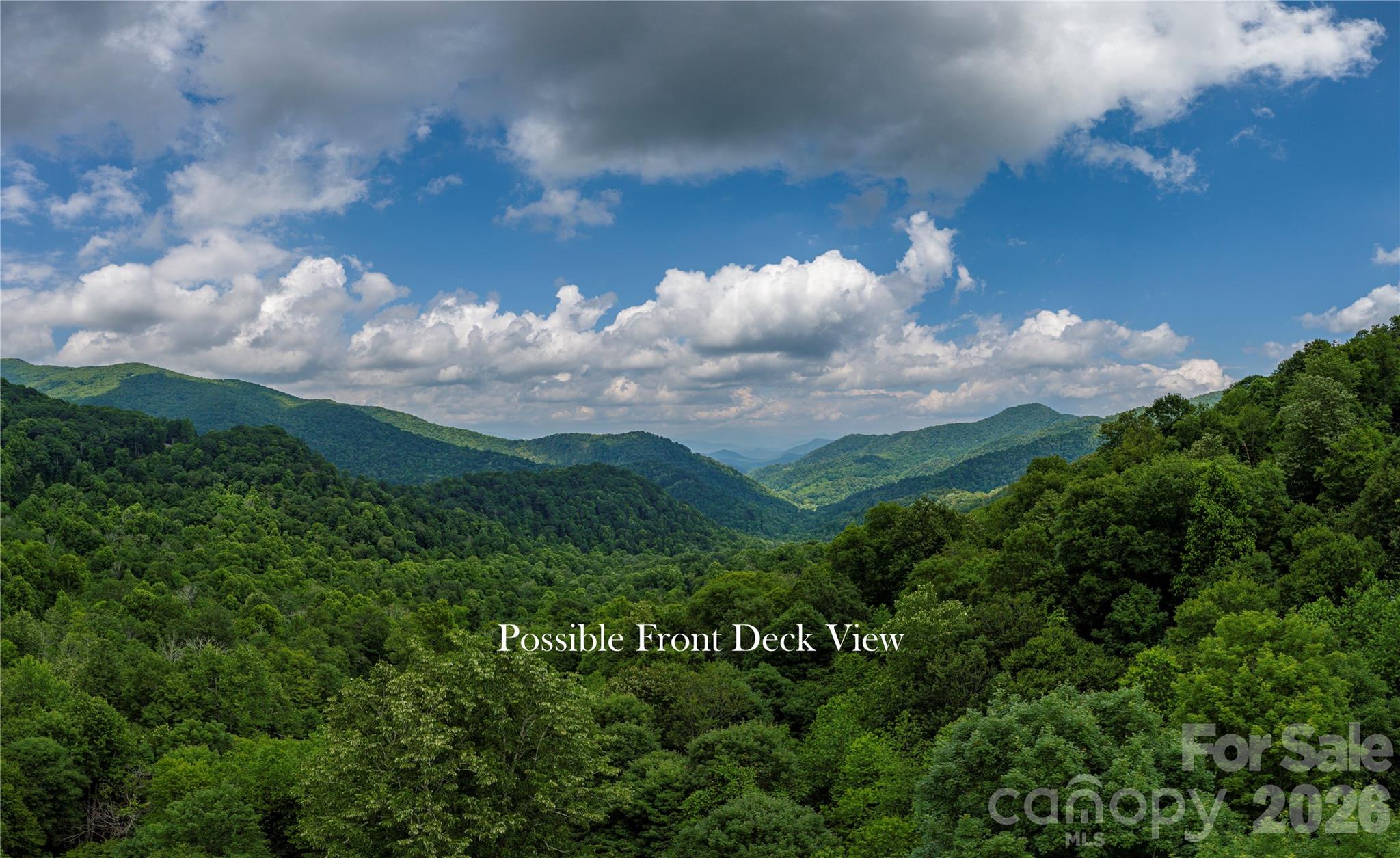 The Preserve at Wolf Laurel - Land