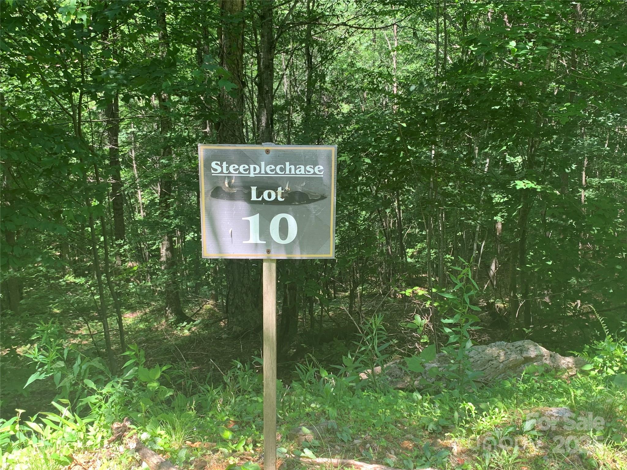 The Preserve at Wolf Laurel - Land