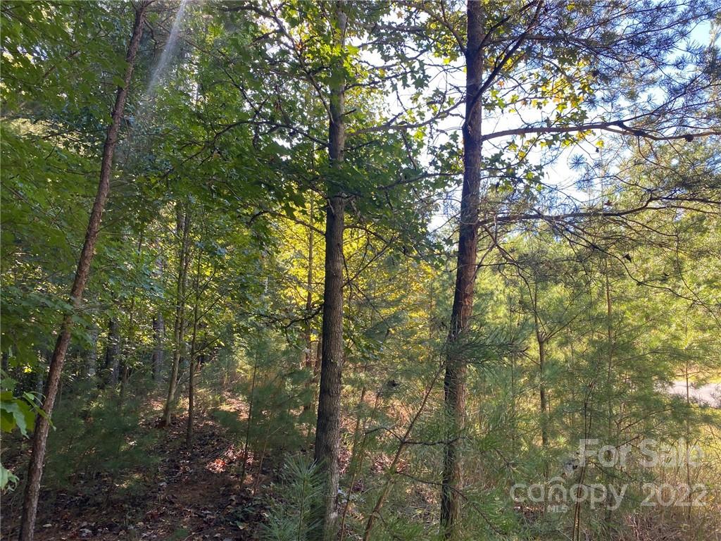 The Arbor at Lake James - Land