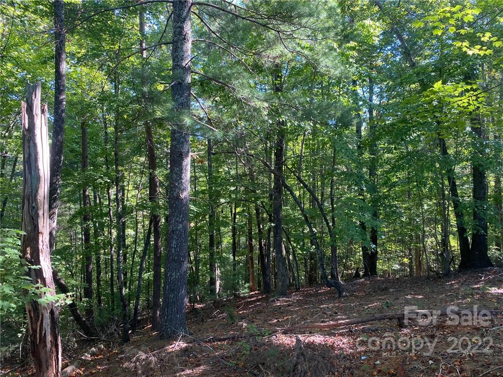 The Arbor at Lake James - Land