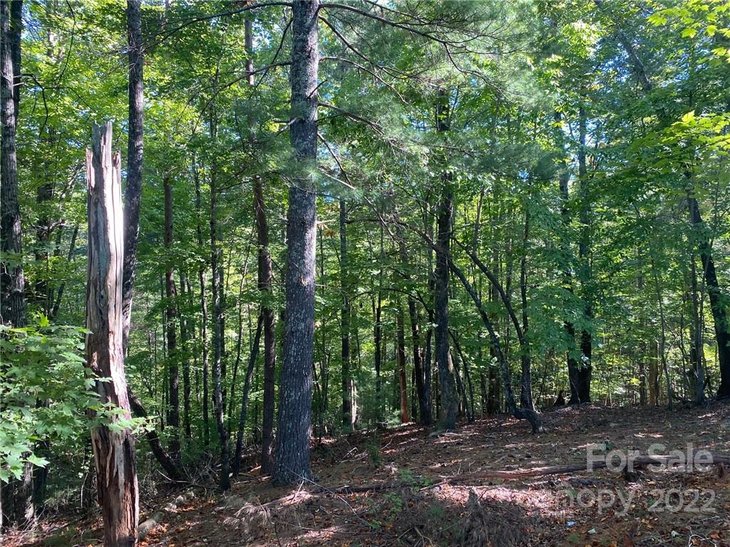 The Arbor at Lake James - Land