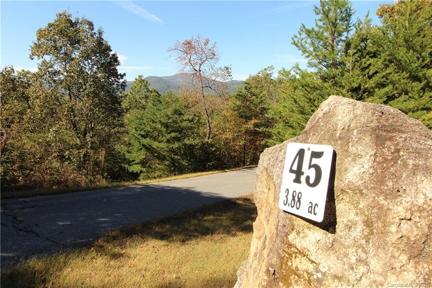Recently widowed & motivated seller! Priced now 40K below original asking price! A beautiful property with many possibilities! Located high above in The Peaks at Lake Lure community. This 3.88-acre parcel has stunning 180-degree mountain views. The property is divided by a private shared road with cleared sections on both sides, a great option for your home and an additional garage for a workshop and extra storage. The Peaks is a gated community with paved roads and underground utilities. Located close to restaurants, grocery store, medical facilities, and just a short drive to Chimney Rock State Park and the Tryon International Equestrian Center (TIEC). Come build your dream home in one of Lake Lure's most desirable neighborhoods!