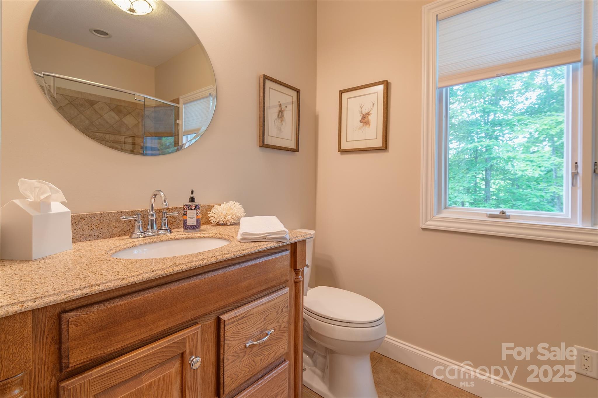 Reems Creek Golf Community - Residential