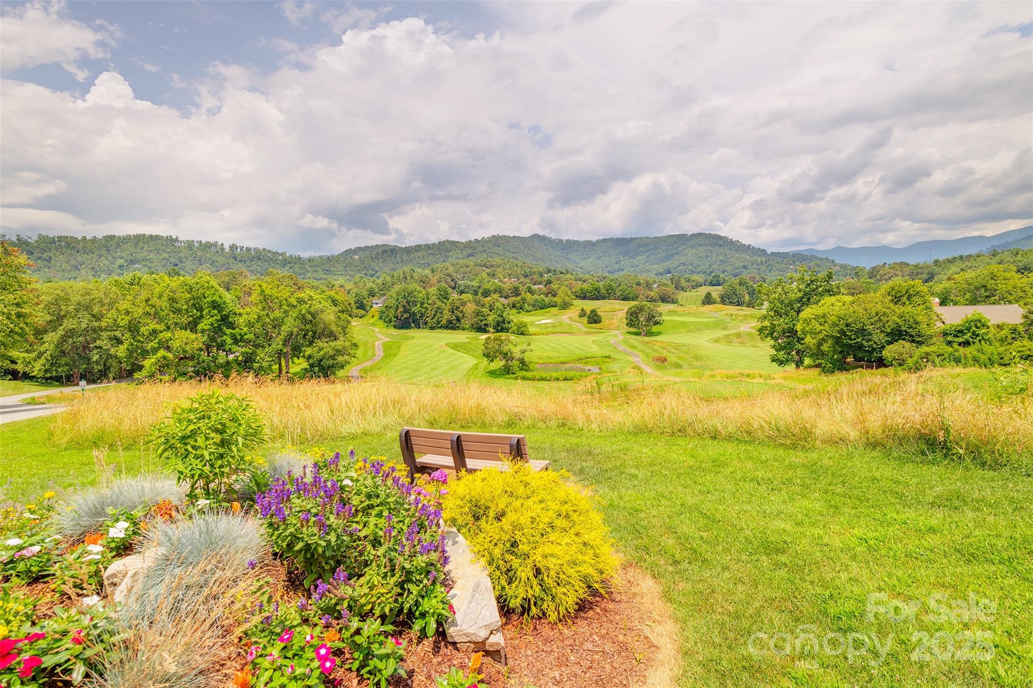Reems Creek Golf Community - Residential