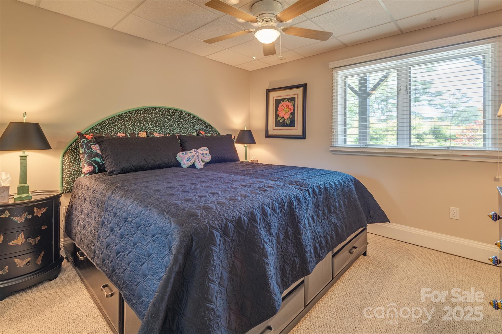 Reems Creek Golf Community - Residential