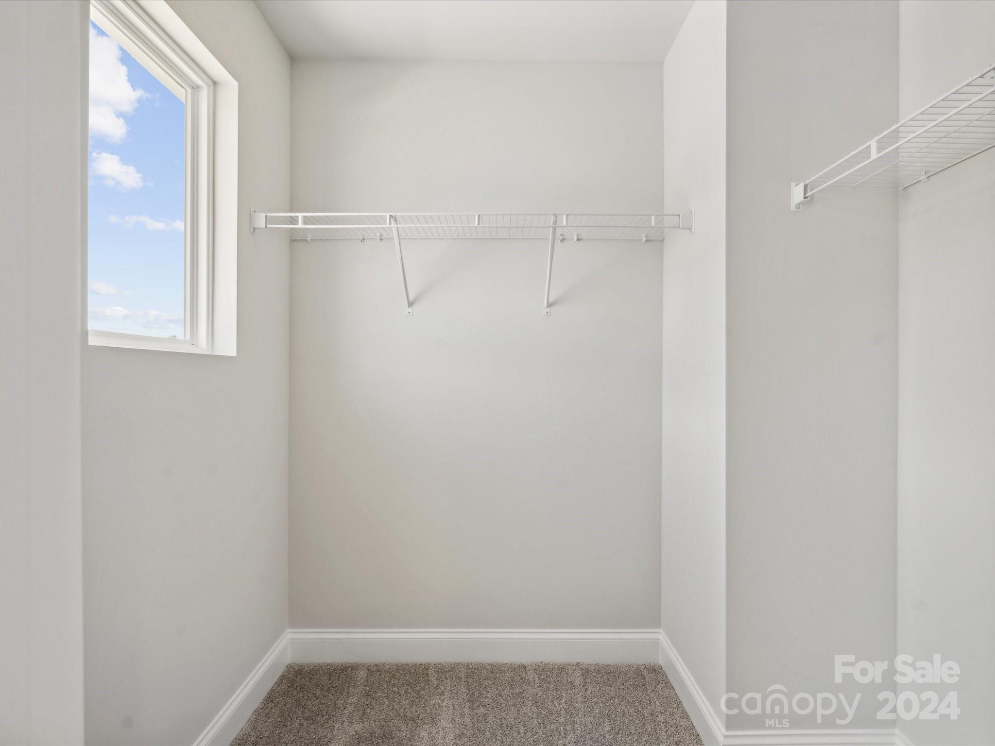 Medlin Forest - Residential