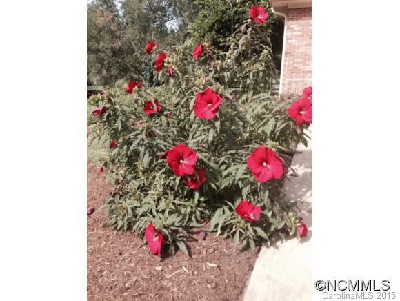 Holly Hill - Residential