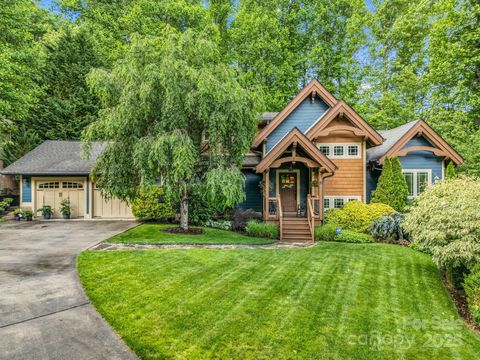 15 Sandy Branch Black Mountain NC 28711