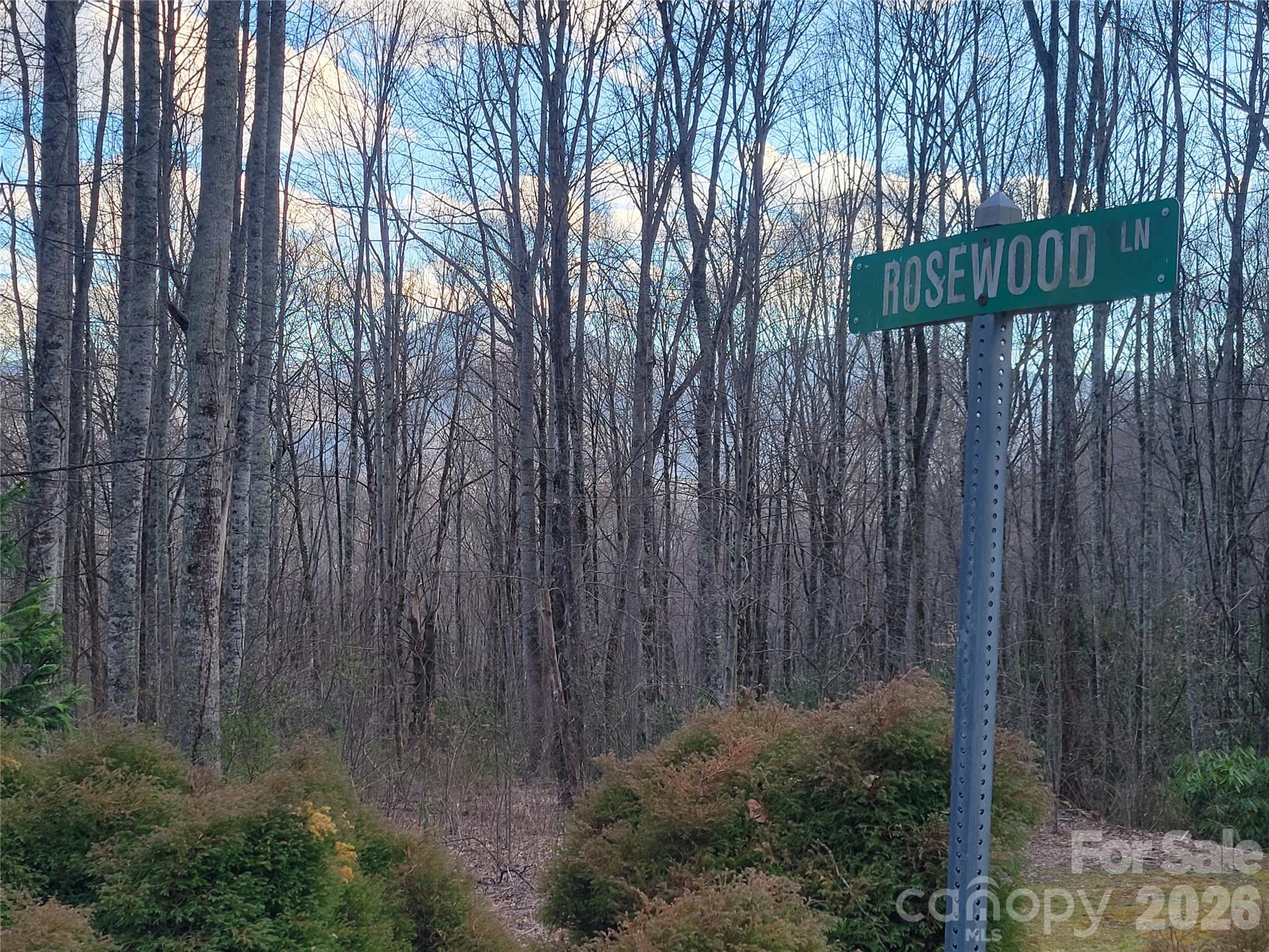 The Cove at Maggie Valley - Land