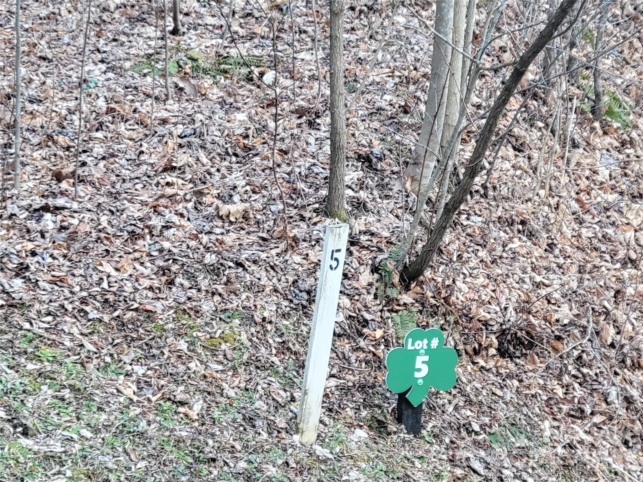 The Cove at Maggie Valley - Land