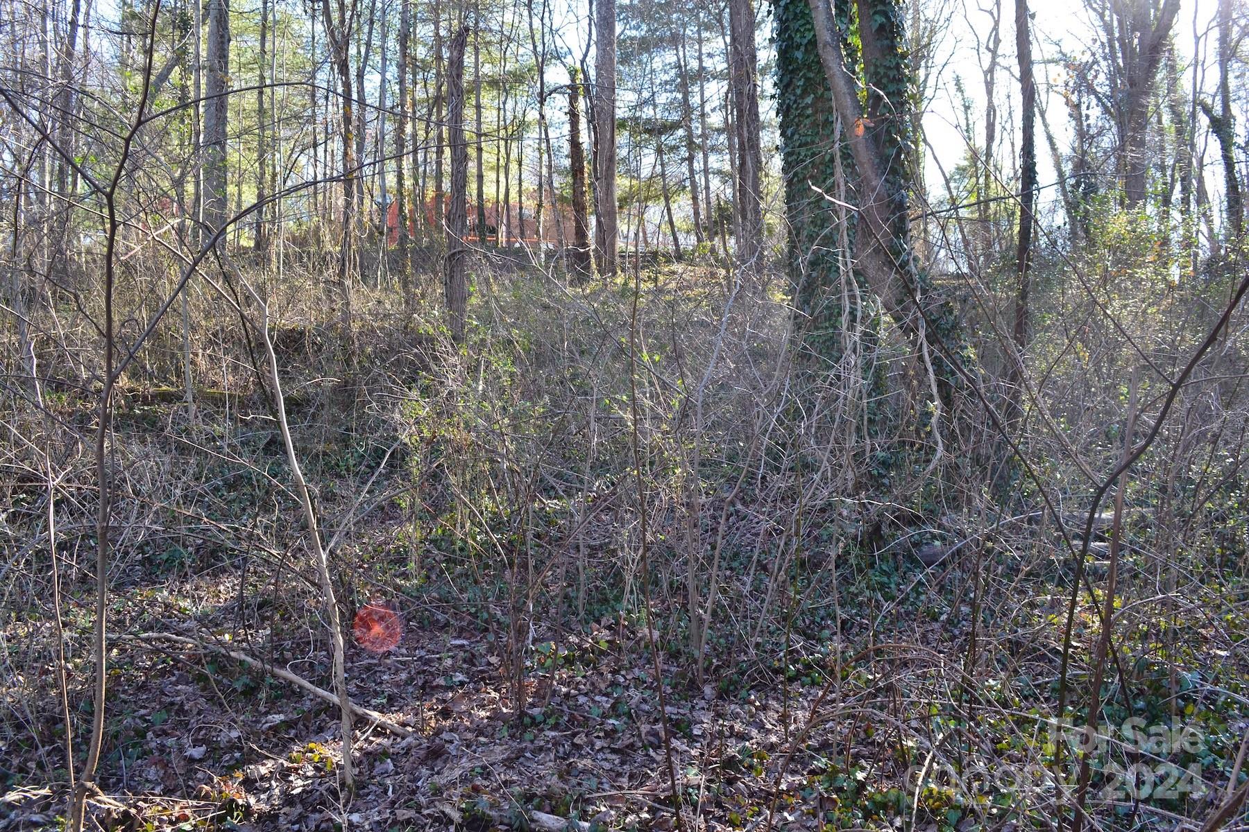 Wilshire Park - Land