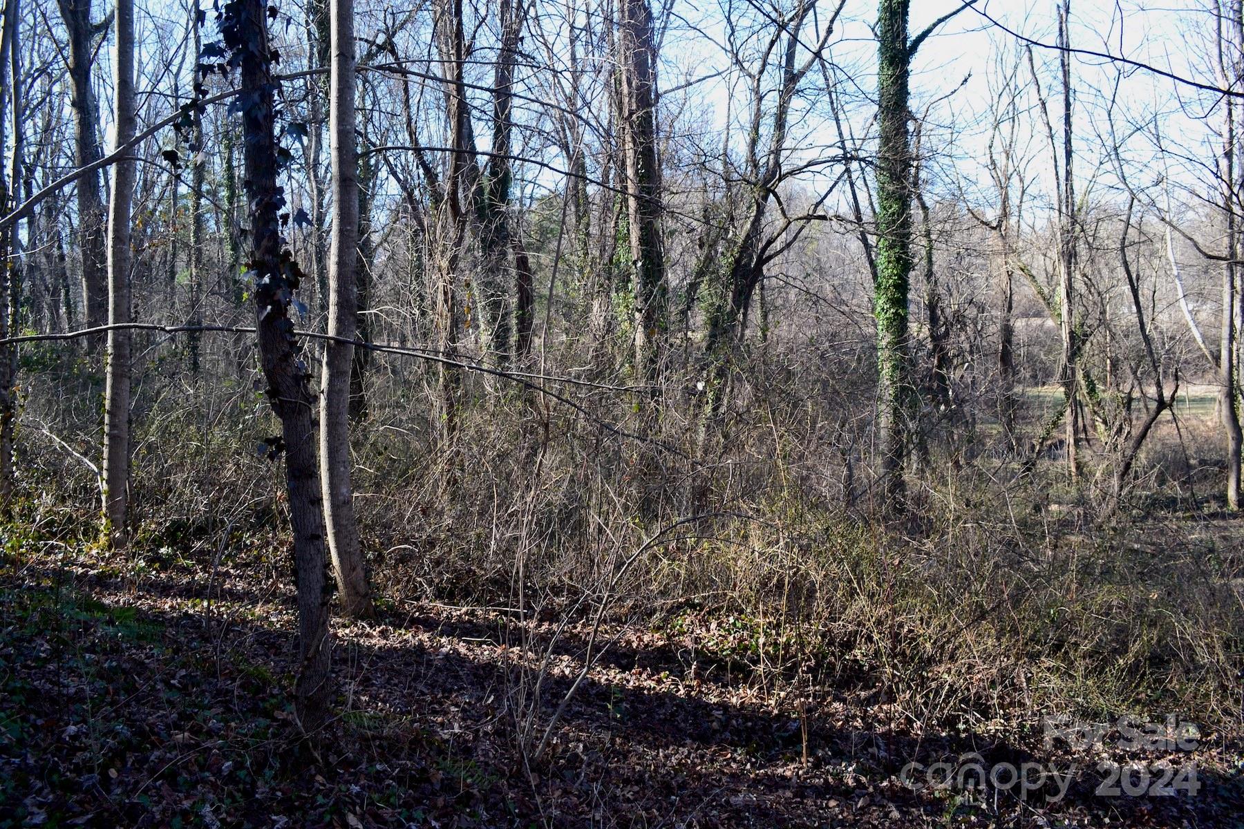 Wilshire Park - Land