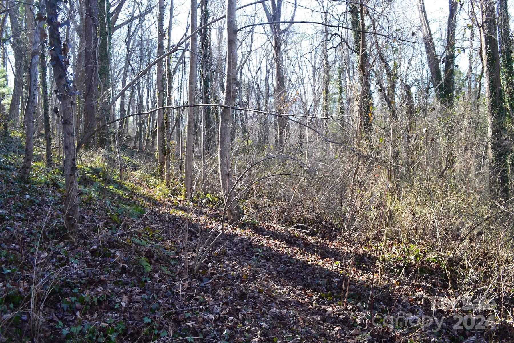 Wilshire Park - Land