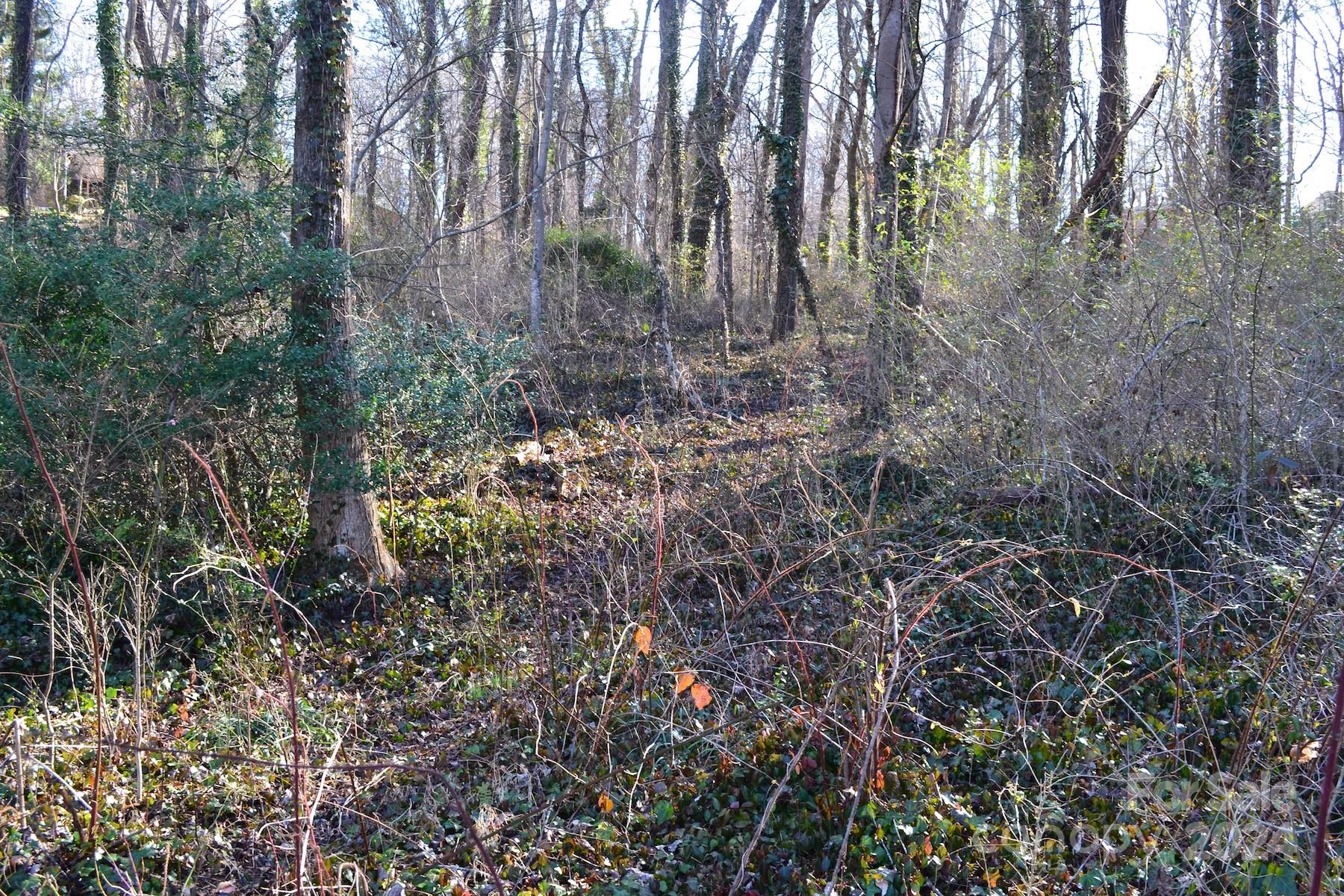 Wilshire Park - Land