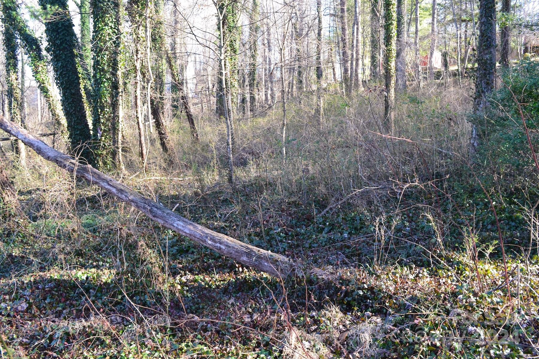 Wilshire Park - Land