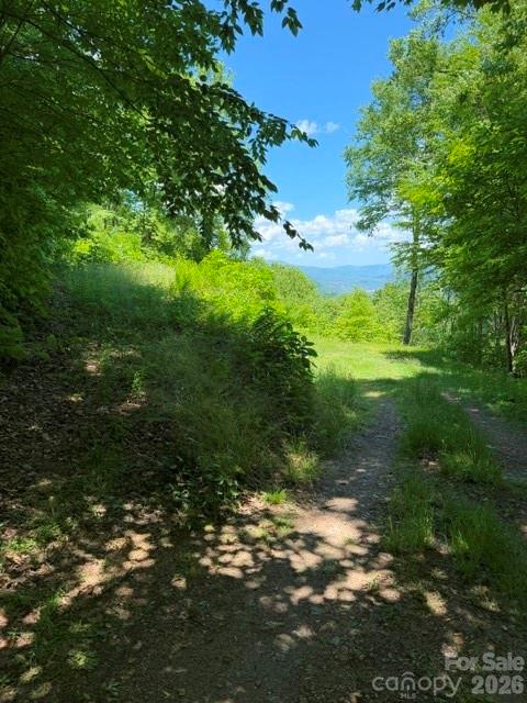 Properties | Kathy Shaffer, REALTOR® in Charlotte, NC 105 Dotsu Trail
