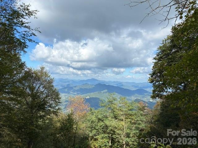 Properties | Kathy Shaffer, REALTOR® in Charlotte, NC 105 Dotsu Trail