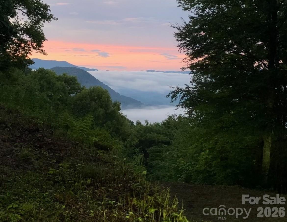 Properties | Kathy Shaffer, REALTOR® in Charlotte, NC 105 Dotsu Trail