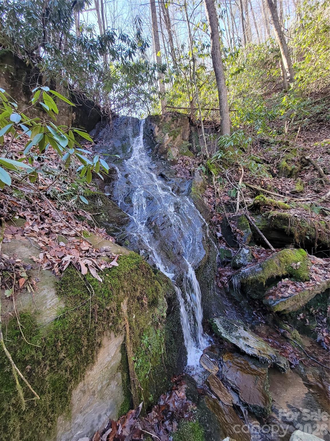 Timber Rock - Land