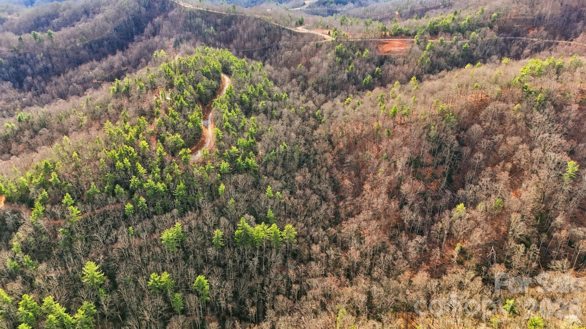 Timber Rock - Land
