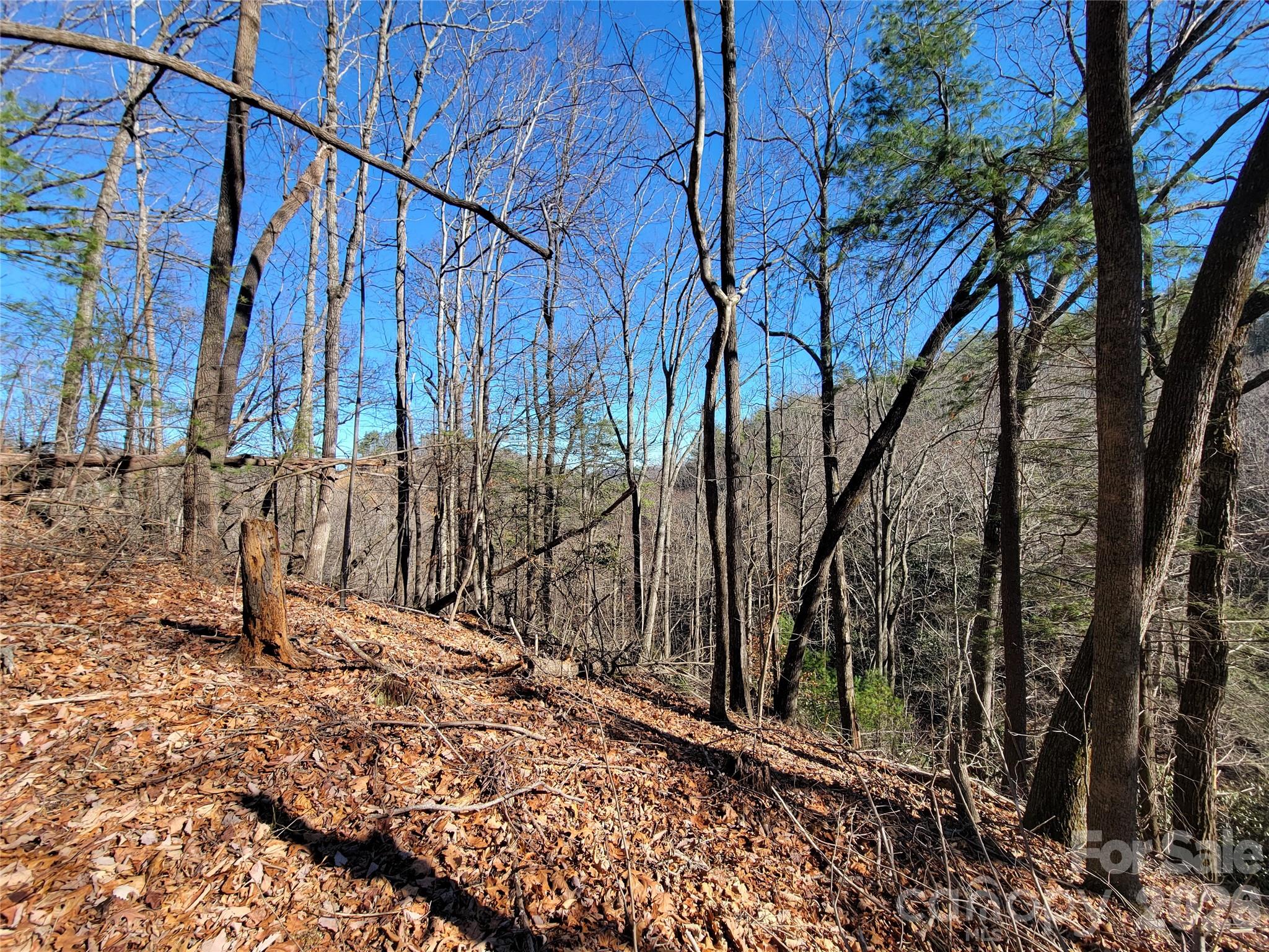 Timber Rock - Land