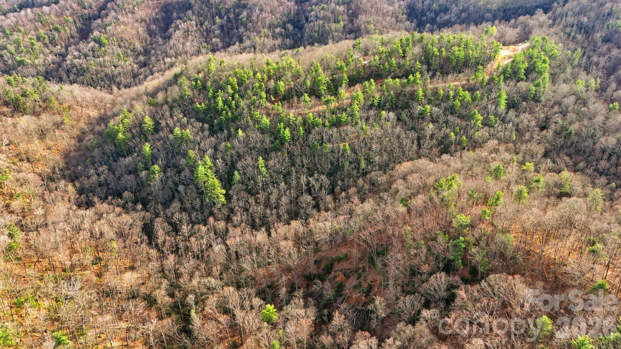 Timber Rock - Land