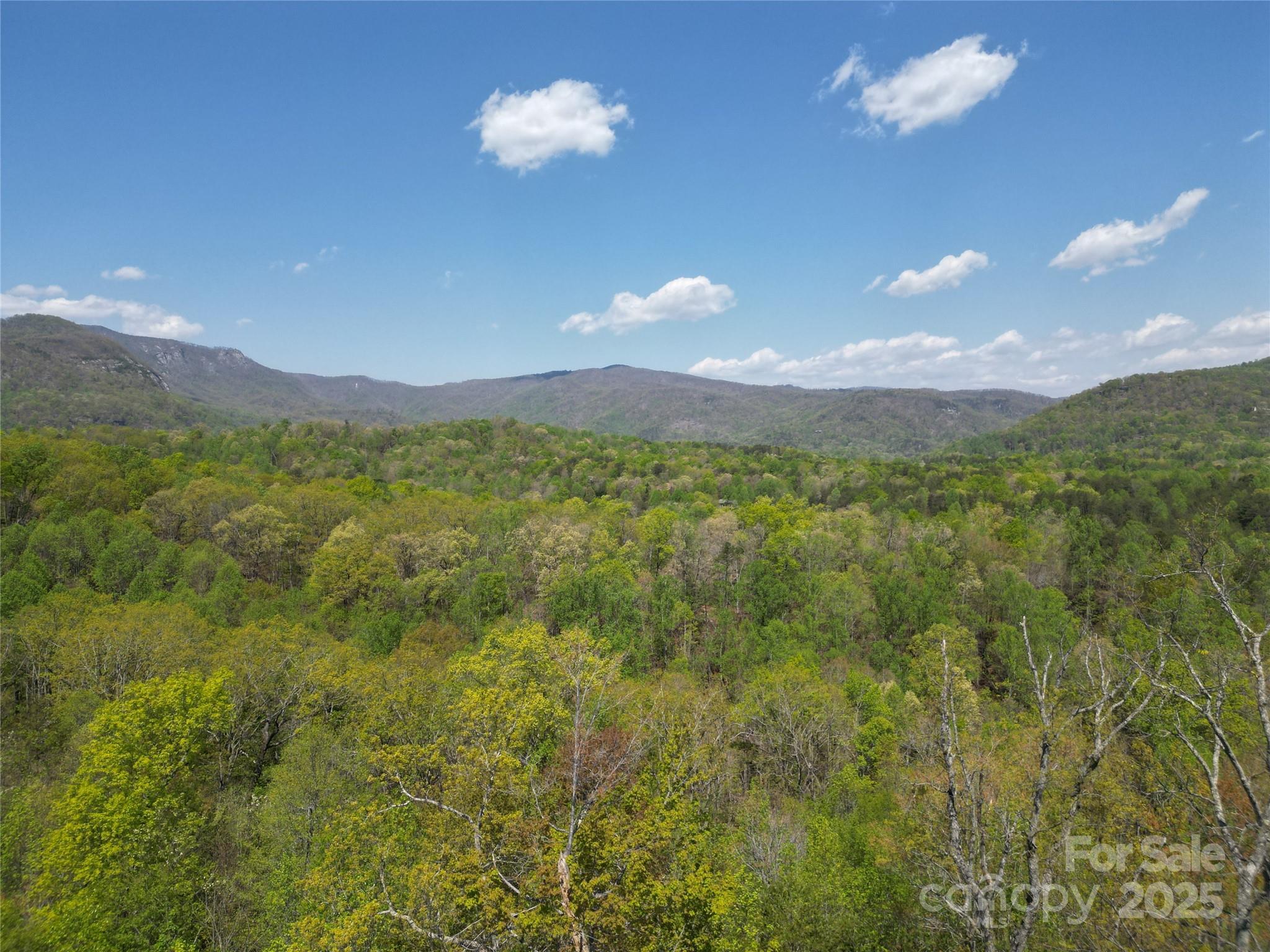 Rumbling Bald on Lake Lure - Land