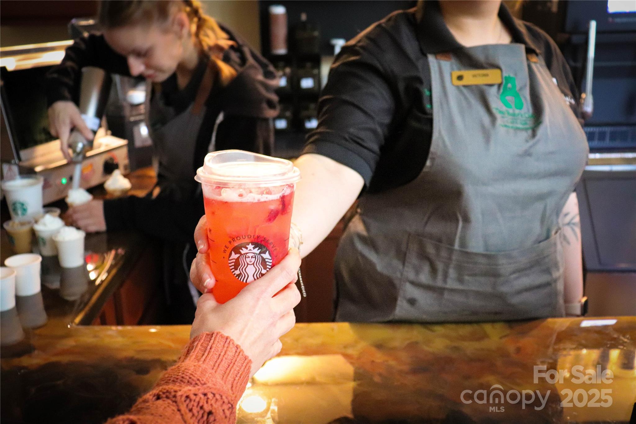 Rumbling Bald on Lake Lure - Land